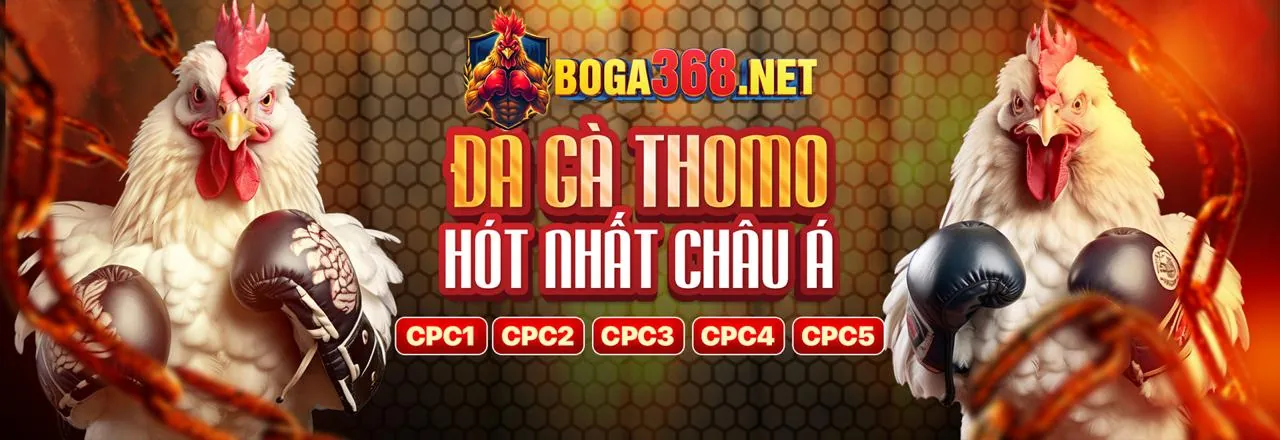 Đá gà trực tuyến tại wvip đăng nhập